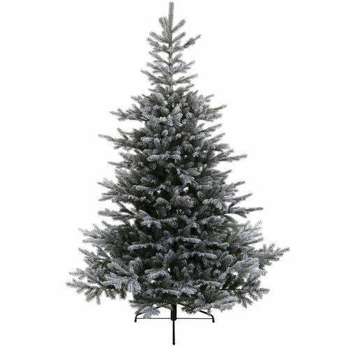 Everlands Grandis fir groen/wit dia162-H240cm
