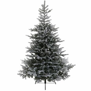 Everlands Grandis fir groen/wit dia162-H240cm