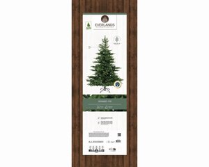Everlands Grandis kunstkerstboom - groen - H240/D162 cm - afbeelding 2