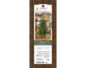 Everlands Grandis kunstkerstboom met verlichting - groen/warm wit - Ø 162 cm - afbeelding 2
