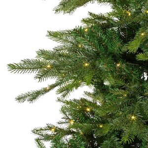 Everlands Grandis kunstkerstboom met verlichting - groen/warm wit - Ø 162 cm - afbeelding 9