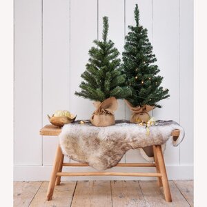 Everlands Imperial mini boom - groen - H60/D35 cm - afbeelding 2