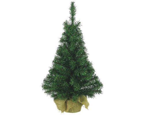 Everlands Imperial mini boom - groen - Ø 41 cm - afbeelding 1