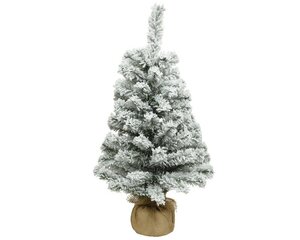 Everlands Imperial mini groen/wit dia35-H60cm