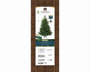 Everlands Nordmann kunstkerstboom - groen - H180/D130 cm - afbeelding 2