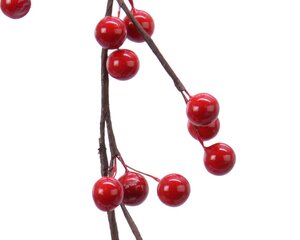 Everlands Slinger - rood - 3 × 10 × 130 cm - afbeelding 2