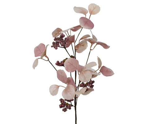 Everlands Spray - poederroze - 10 × 5 × 55 cm