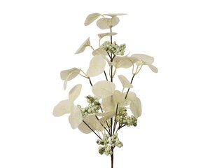 Everlands Spray - wolwit - 10 × 5 × 55 cm