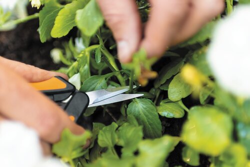 Fiskars Solid Snip Kruidenschaar - afbeelding 9