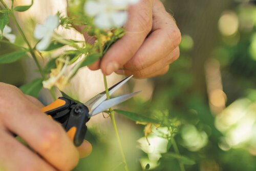 Fiskars Solid Snip Kruidenschaar - afbeelding 10