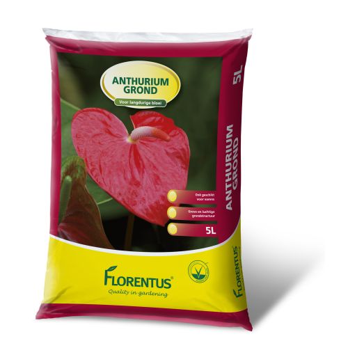 Florentus potgrond voor Anthurium 5L