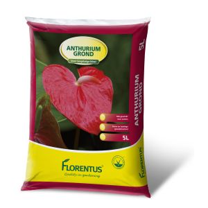 Florentus potgrond voor Anthurium 5L