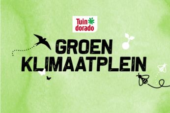Groen Klimaatplein