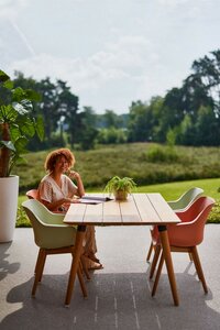 Hartman 2 x Sophie Studio Armchair - afbeelding 7