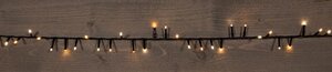 Ivy verlichting 700 LED – 16 m extra warm wit – 4m aanloopsnoer zwart – timer en dimmer - afbeelding 2