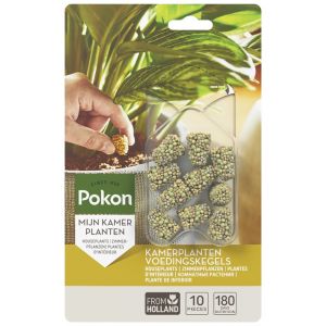 Pokon Kamerplanten Voedingskegels - afbeelding 1