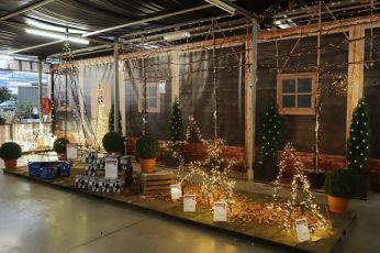 Kerstverlichting