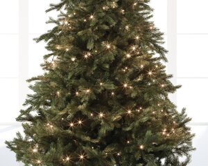 LED basic lights - afbeelding 3