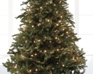 Lumineo tree lights led basic light zwart/warm wit 1800cm-24 - afbeelding 3