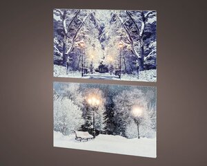 Lumineo LED schilderij op batterijen voor binnen - assortie/warm wit/koel wit - 1,5 × 58 × 38 cm - afbeelding 1