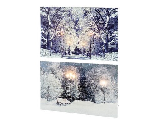 Lumineo LED schilderij op batterijen voor binnen - assortie/warm wit/koel wit - 1,5 × 58 × 38 cm - afbeelding 2