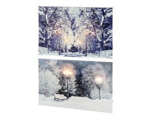 Lumineo LED schilderij op batterijen voor binnen - assortie/warm wit/koel wit - 1,5 × 58 × 38 cm - afbeelding 2