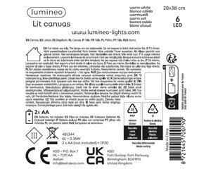 Lumineo LED schilderij voor binnen - kleuren/warm wit - 1,5 × 28 × 38 cm - afbeelding 3