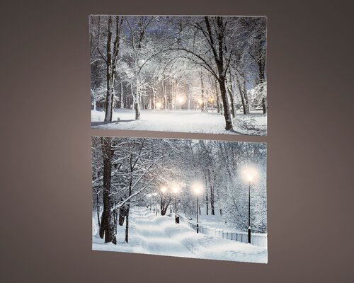Lumineo objects led canvas stea warm wit/koel wit L1.50-