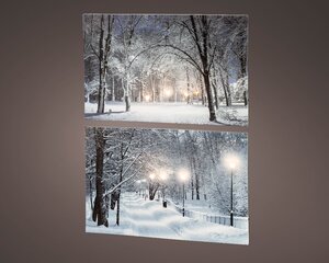 Lumineo objects led canvas stea warm wit/koel wit L1.50-