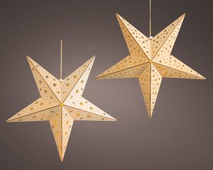 Lumineo objects led raamdecorat naturel/warm wit dia40-L