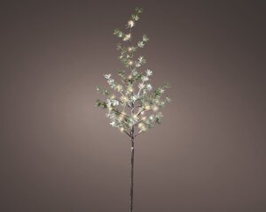 Lumineo objects led tak steady  groen/warm wit dia15-H12