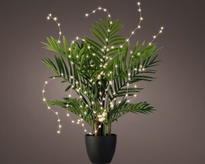 Lumineo tree lights Micro led plant zilver/warm wit 80cm-60L