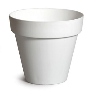 Mega Collections Essence Rio White D20H17