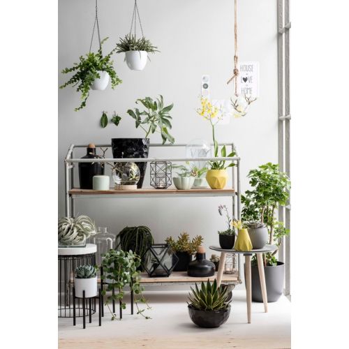 Mica Decorations Ascot plantenstandaard Ø16,5cm x H16cm Zwart - afbeelding 2