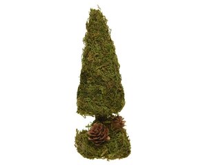 Everlands Moss mini boom  groen dia5-H18cm
