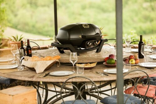 NAPOLEON GOURMET GRILLS Bbq travelq - afbeelding 6