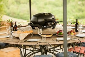 NAPOLEON GOURMET GRILLS Bbq travelq - afbeelding 6
