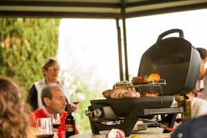 Napoleon Travelq™ pro 285 - afbeelding 5