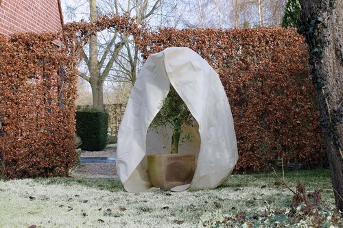 NATURE Winterafdekhoes rits h3d2.50m beige - afbeelding 4