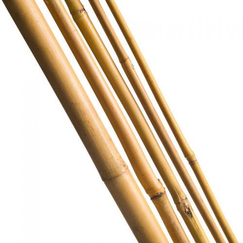 Outside living Bamboestok l300cm d20-22mm 3st - afbeelding 2