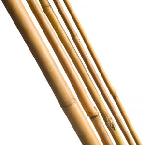 Outside living Bamboestok l300cm d20-22mm 3st - afbeelding 2