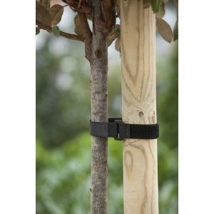 Outside living Boomband klittenband+gesp l40b2.5cm - afbeelding 3