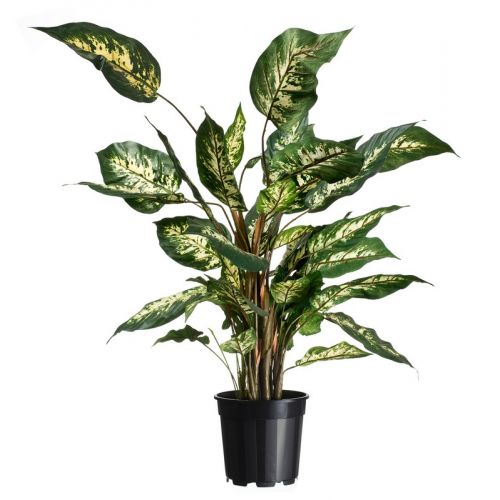 Outside living Container afwatering 4.5l zwart sp2 - afbeelding 3