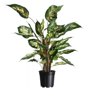 Outside living Container afwatering 4.5l zwart sp2 - afbeelding 3