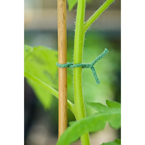 Outside living Jute touw groen ijzeren kern 10m - afbeelding 3