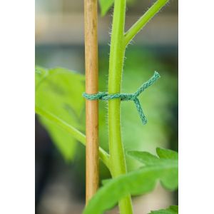 Outside living Jute touw groen ijzeren kern 10m - afbeelding 3