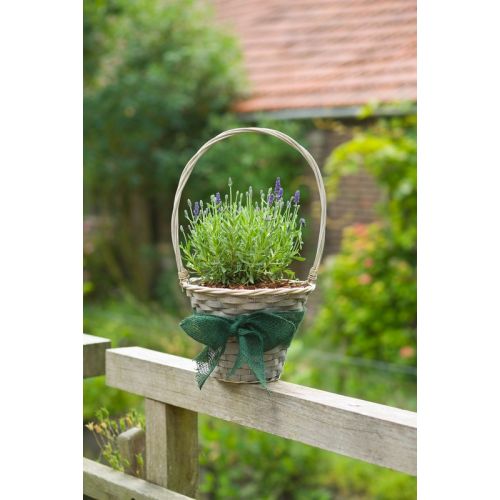 Outside living Juteband groen 10cml25m - afbeelding 5