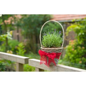 Outside living Juteband rood 10cml25m - afbeelding 4