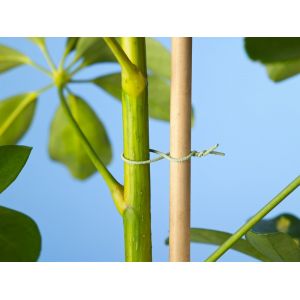 Outside living Klimdraad stroeve coating l50m - afbeelding 2