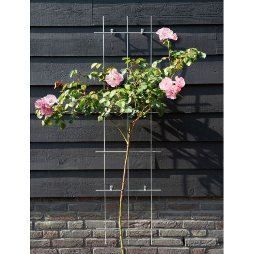 Outside living Klimrek metaal b45h150cm groen - afbeelding 2